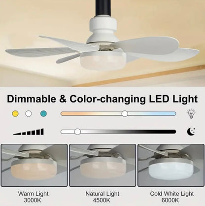 Ventilateur avec lumière à brancher